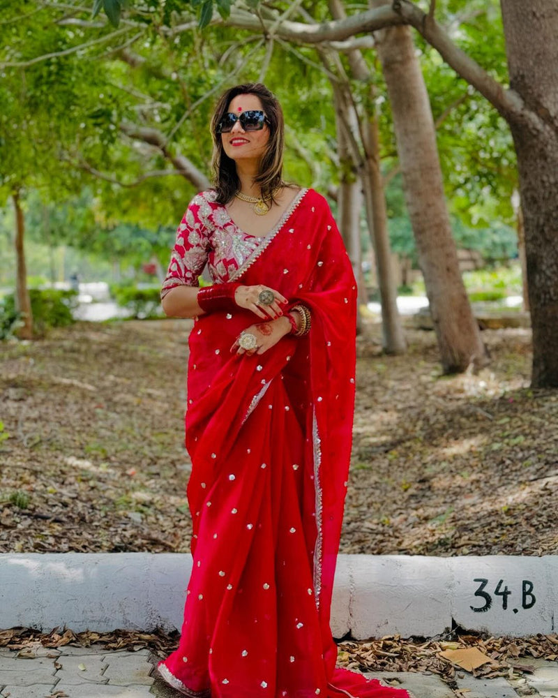 Designer saree