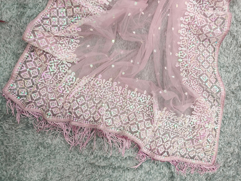 Soft Net Beautiful Sequence Work Light Pink Saree