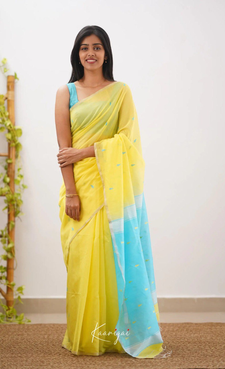 Elegant Contrast Jacquard Lilan Slab Cotton Saree