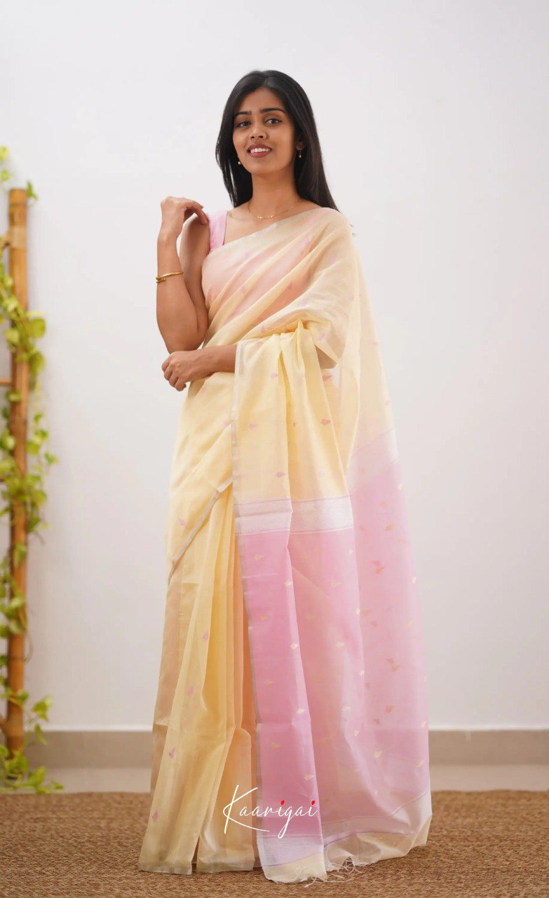 Elegant Contrast Jacquard Lilan Slab Cotton Saree