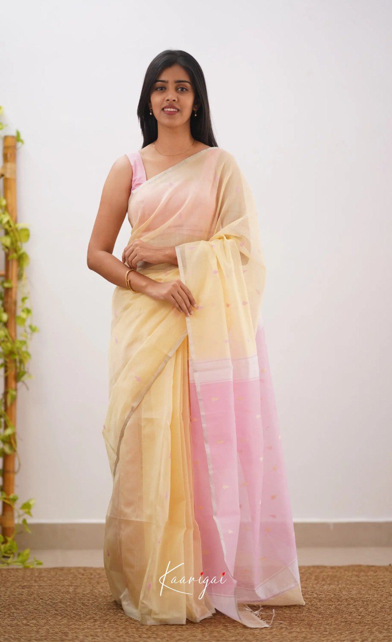 Elegant Contrast Jacquard Lilan Slab Cotton Saree