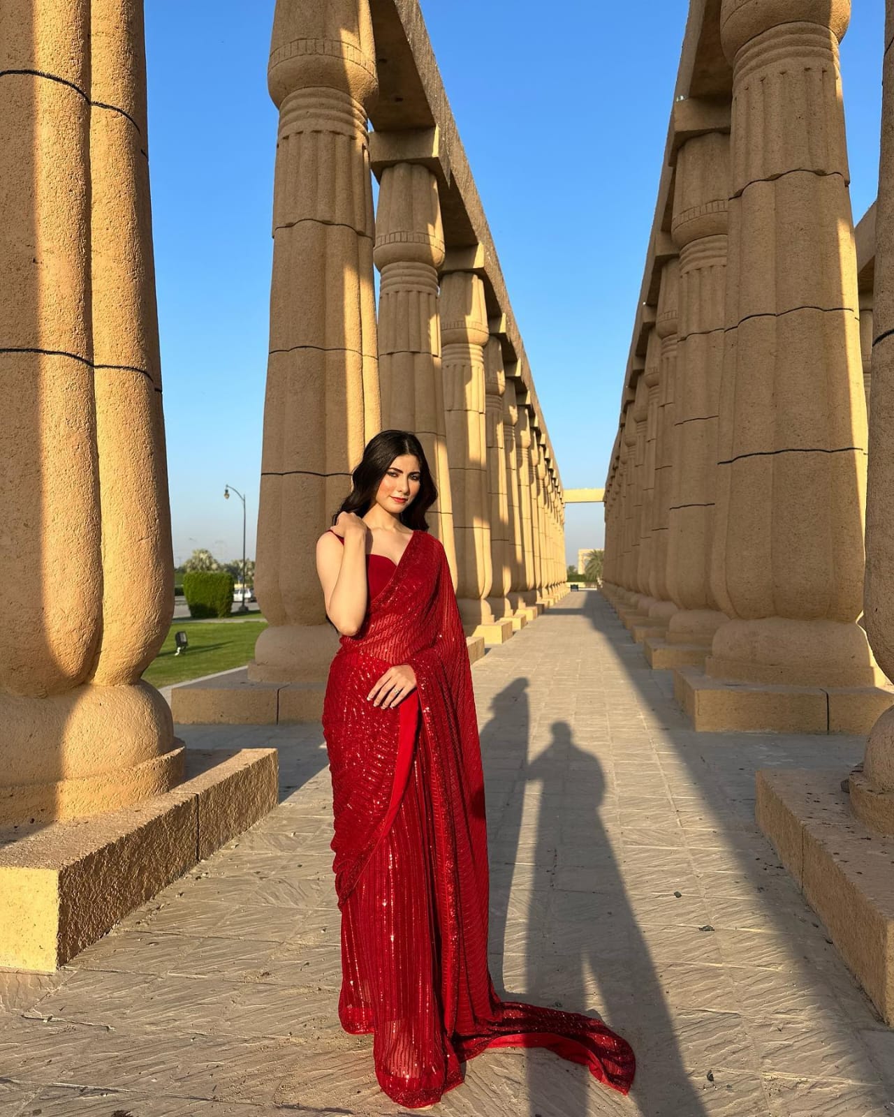 Beautiful Sequins Sarees