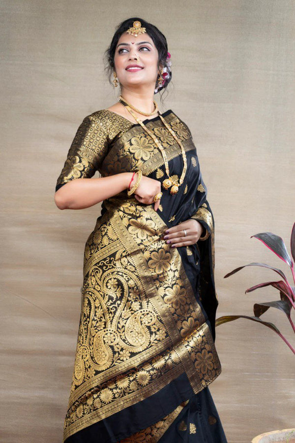 BLACK Banarasi Silk Saree