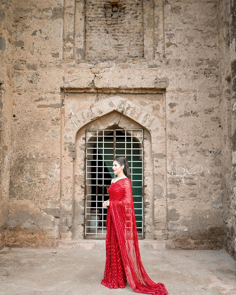 Beautiful Sequins Sarees