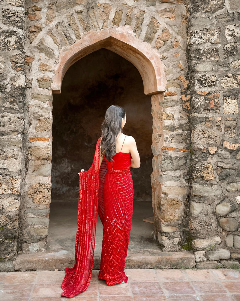 Beautiful Sequins Sarees