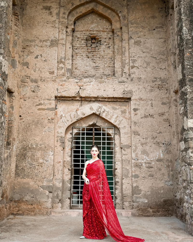 Beautiful Sequins Sarees